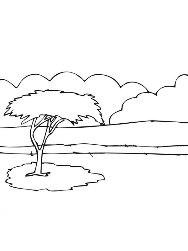 African acacia tree simple drawing pictures