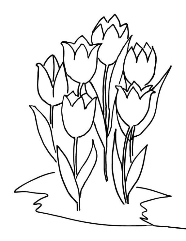 six tulips