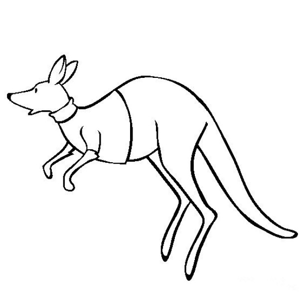 Animal simple drawing pictures Kangaroo simple drawing