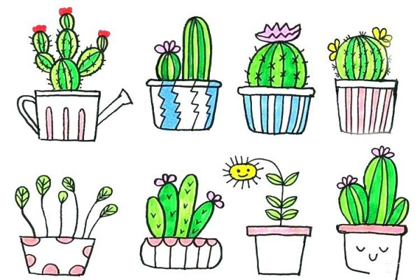 Hand drawn simple drawing of small potted plants