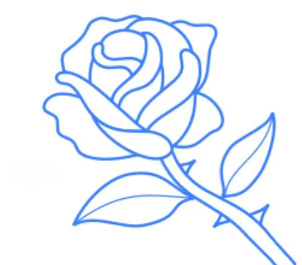 How to draw a simple picture of a rose