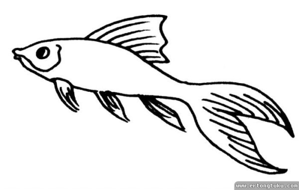 Simple strokes of a little goldfish How to draw a little goldfish