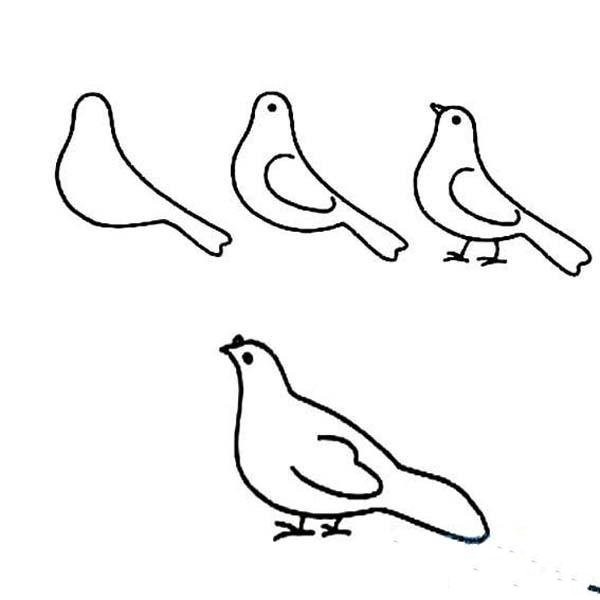 Simple drawing tutorial of peace dove