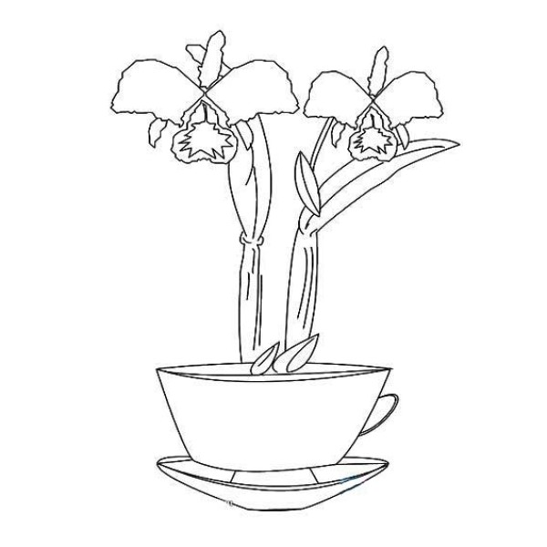 Beautiful potted plant simple strokes