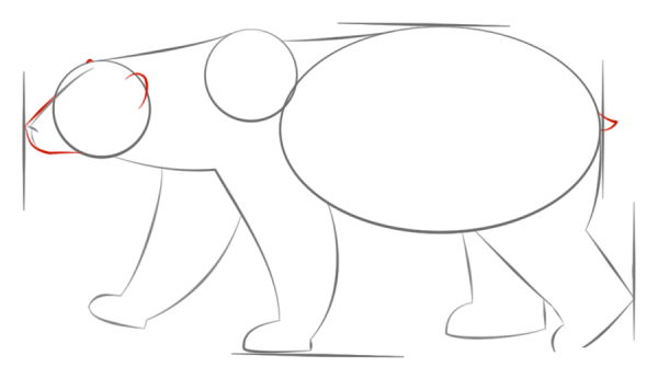 How to Draw a Polar Bear