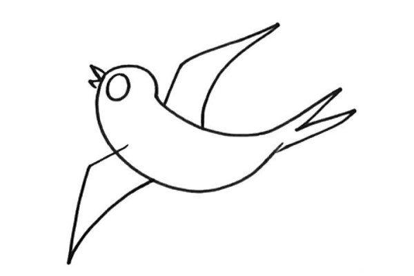 Learn to draw swallows