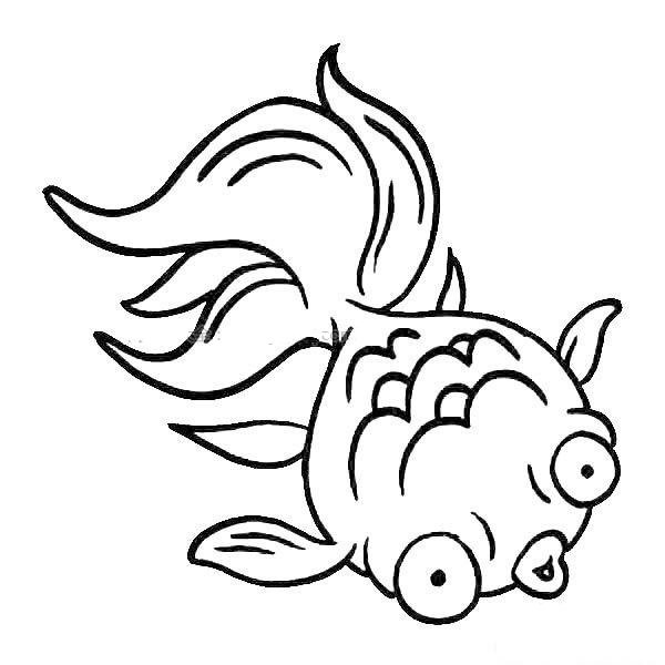 Scared Goldfish Simple Drawing