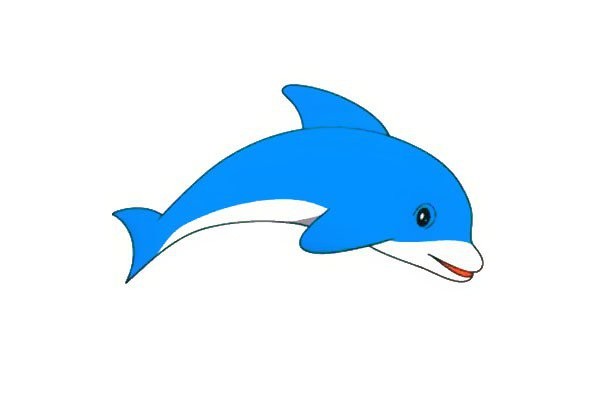 How to draw a dolphin in simple strokes