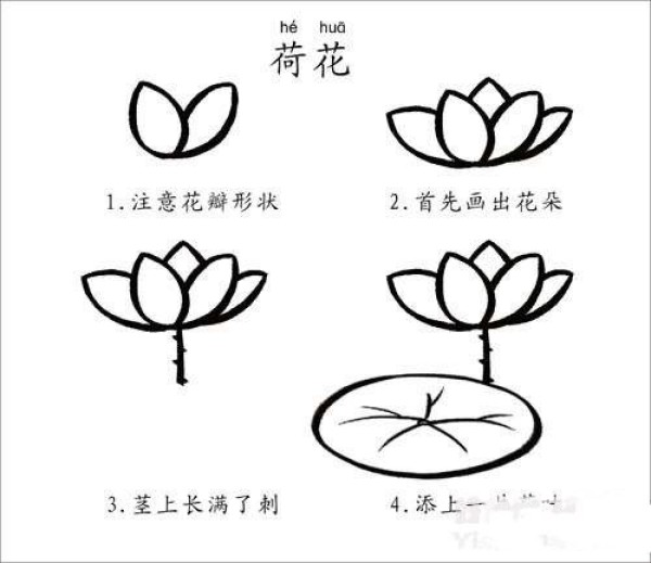 Simple lotus drawing tutorial