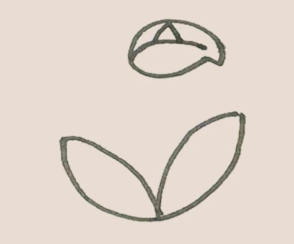 Simple strokes of calla lily