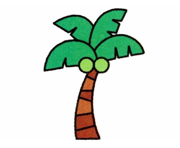 How to draw coconut trees