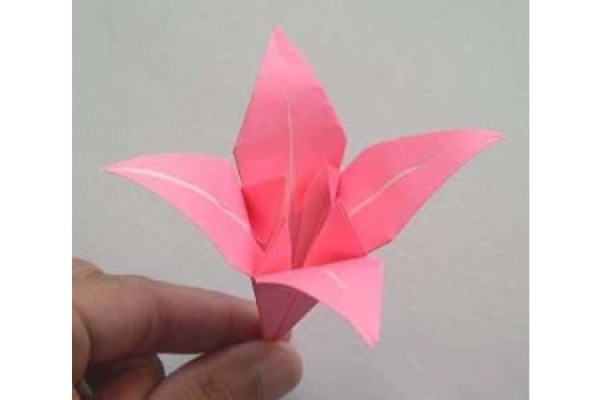 How to fold lilies