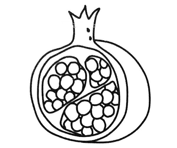 Two simple drawing pictures of pomegranate