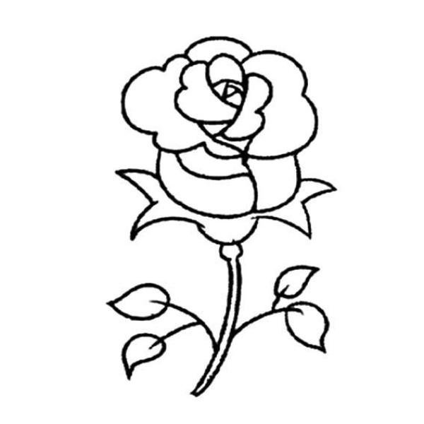 Illustration of the steps to draw a rose in simple strokes