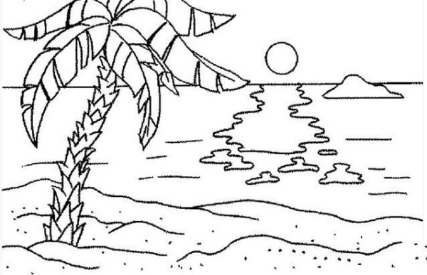 Simple drawing picture of coconut tree in summer