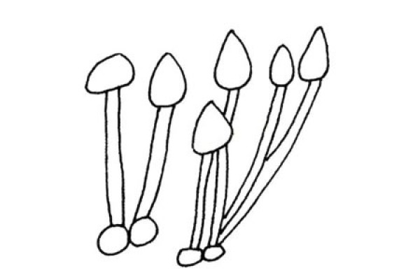 A set of simple mushroom sketch pictures