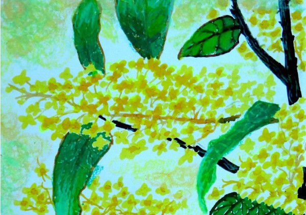 Childrens drawings of beautiful autumn scenery with osmanthus blooming