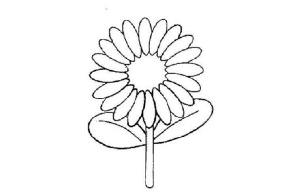 Simple drawing of beautiful sunflower