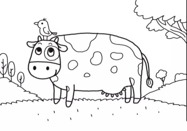 How to draw cows on the farm