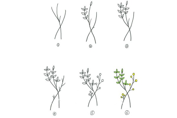 A set of simple drawing methods of beautiful small plants