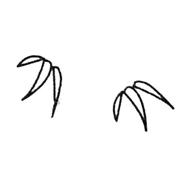 Complete collection of bamboo simple drawings and drawing steps