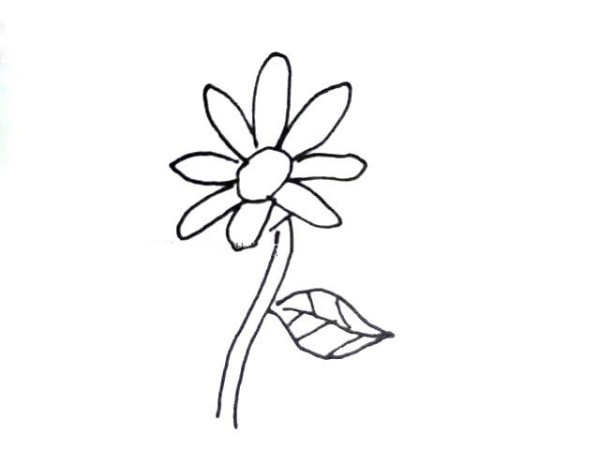 Simple drawing of sunflower