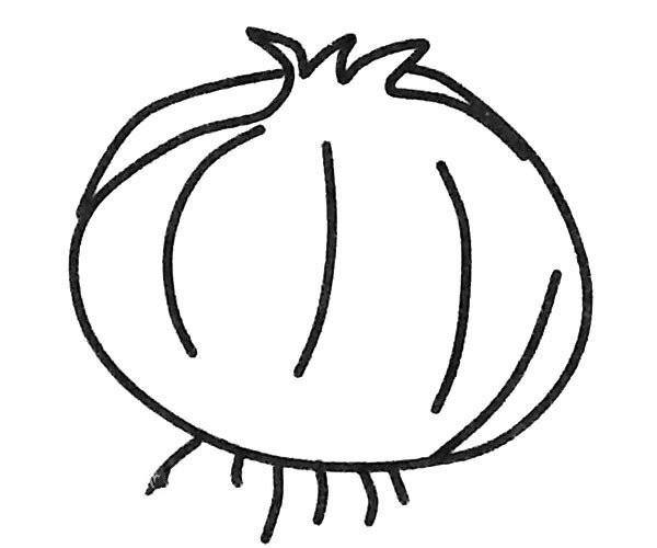 A complete collection of onion simple strokes pictures