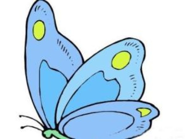 Animal Butterfly Simple Drawings Complete Collection of Cute Animal Simple Drawings with Colors