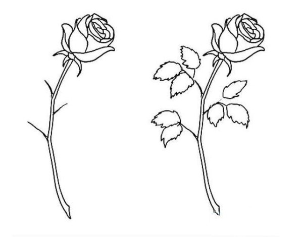 Chinese Valentines Day rose simple drawing cartoon