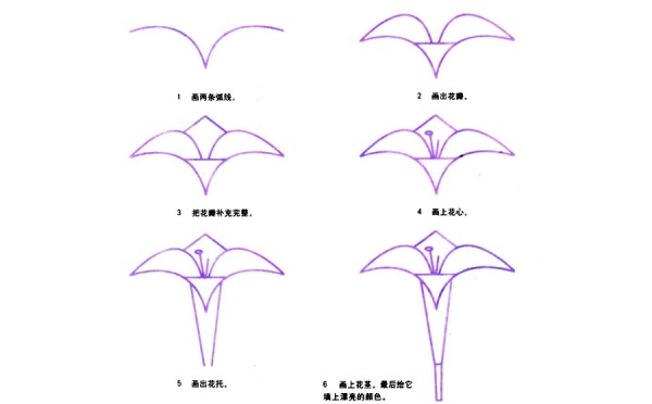 How to draw hand-painted lilies step by step