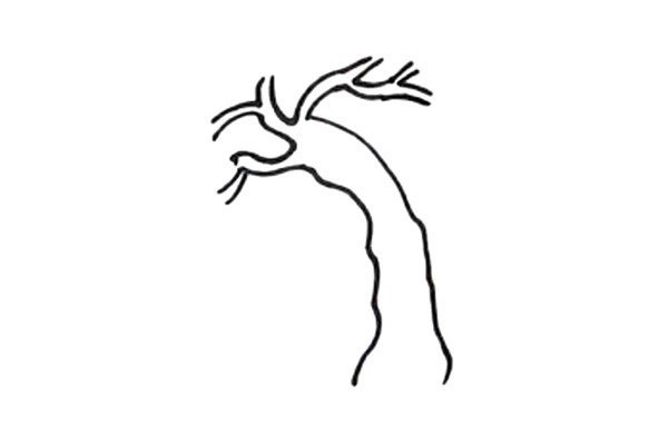 How to draw a willow tree in simple strokes