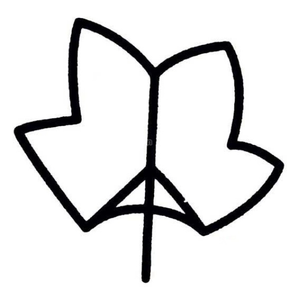 Simple drawing method of leaves for children