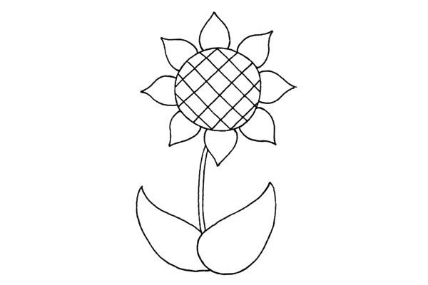 Draw a beautiful sunflower in four steps