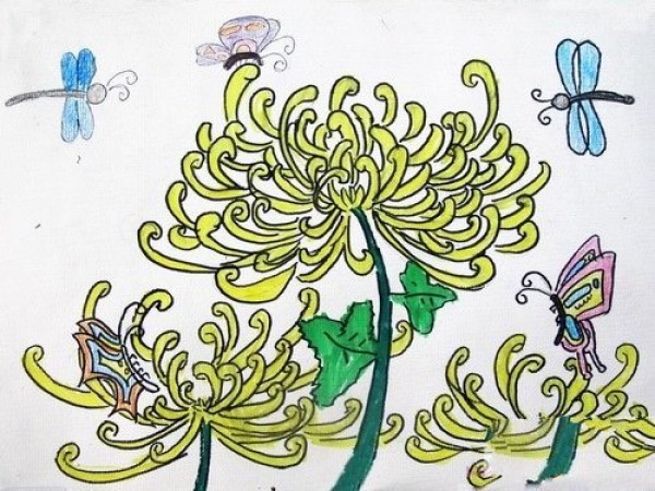 Childrens hand-drawn simple drawing of wild chrysanthemum