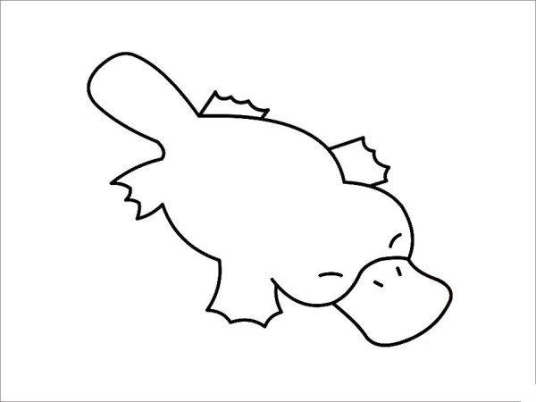 How to draw a platypus