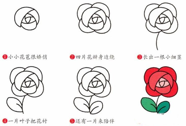 How to draw roses