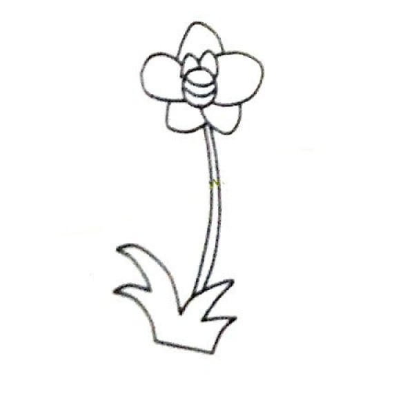 6 beautiful simple drawing pictures of orchids