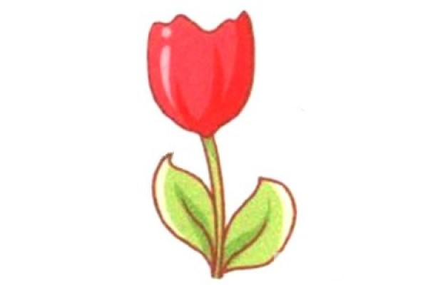 Simple Q version tulip drawing tutorial