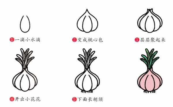 How to draw garlic in simple strokes