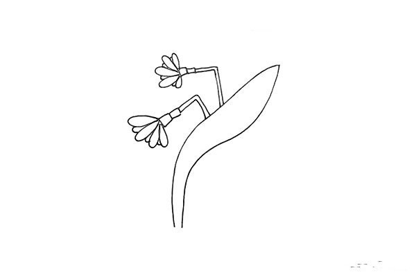 How to draw beautiful daffodils