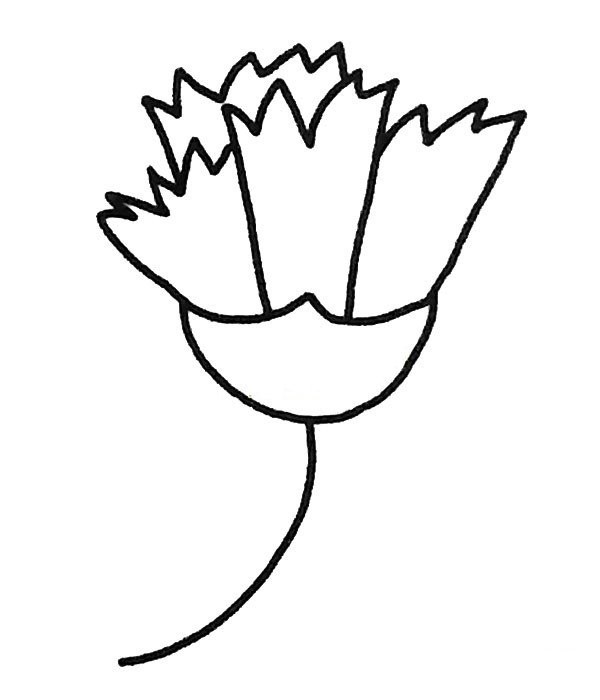 Complete collection of childrens simple drawings Carnation simple drawing pictures