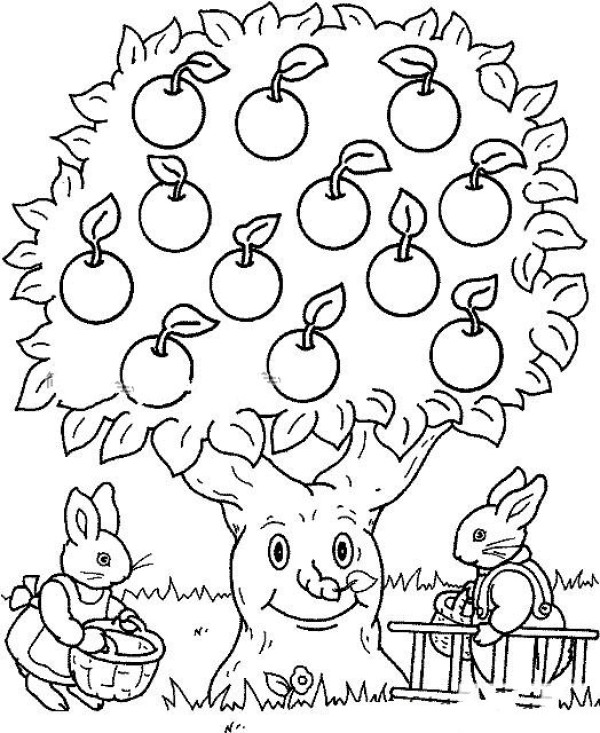 apple tree and rabbit