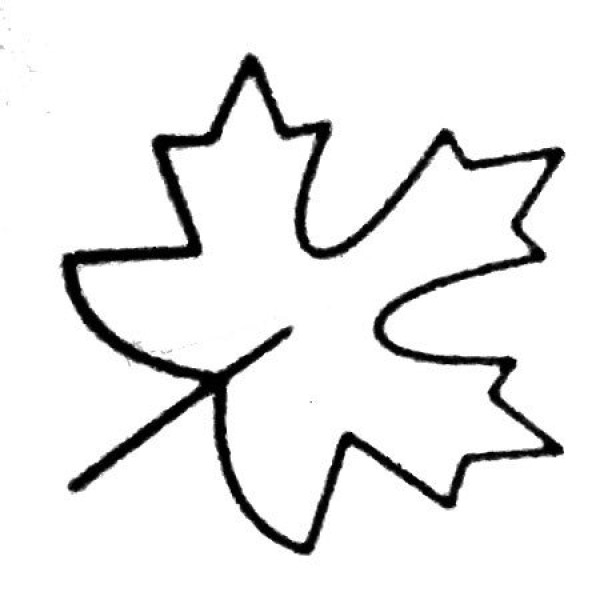 Complete collection of simple leaf sketches