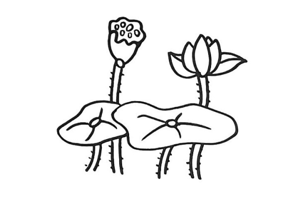 How to draw lotus in simple strokes