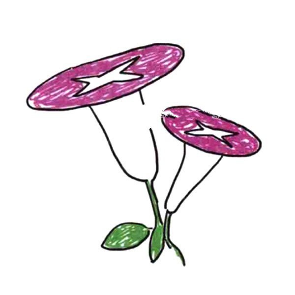 Draw a small flower for yourself, morning glory