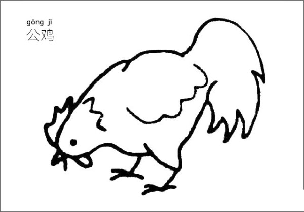 Rooster simple drawing