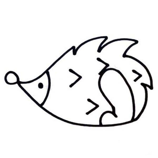 Learn to draw a hedgehog video tutorial