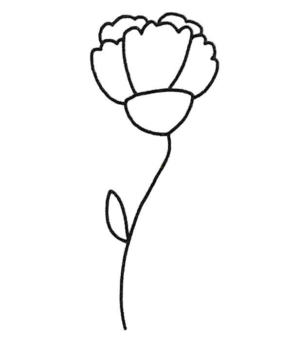 Complete collection of childrens simple drawings Carnation simple drawing tutorial