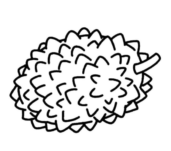 Complete collection of simple drawings of fruits Durian simple drawings