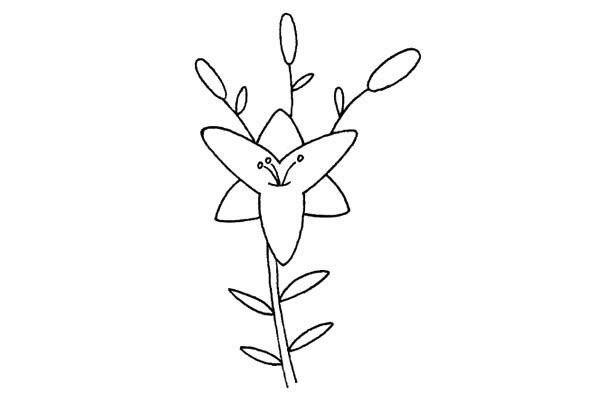 Draw beautiful lilies in four steps